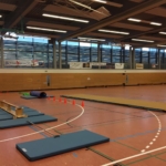 Karower Dachse, Sportfest, Grundschule, Berlin, Karow, Purzelbäume, Turnen, Kinderturnen Sportfest Grundschule, Los gehts