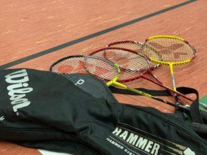 Ballsport Karower Dachse Berlin Karow